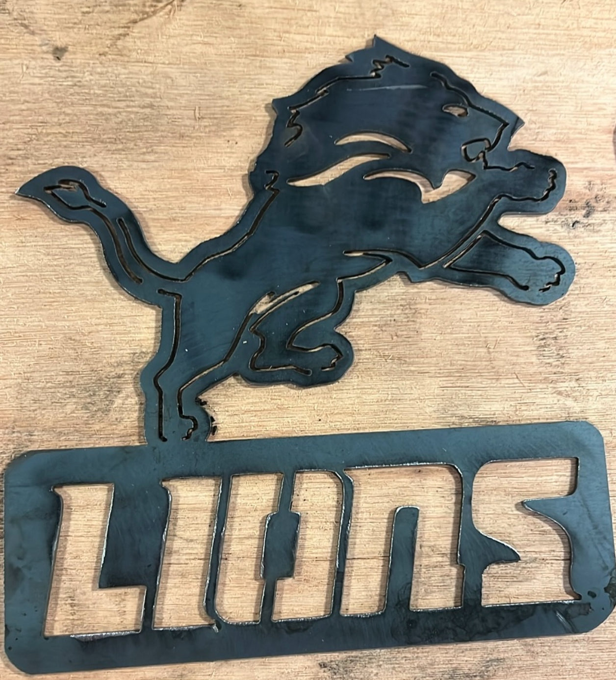 DETROIT LIONS