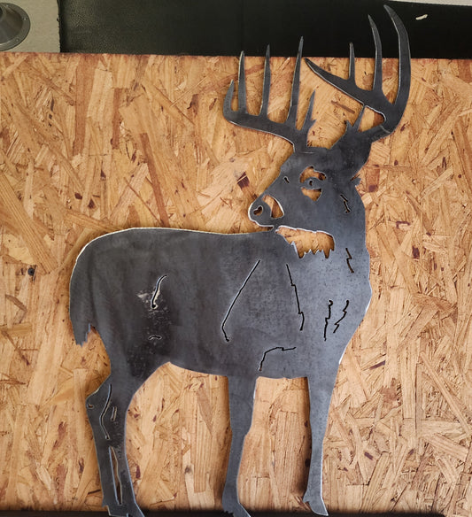 WHITE TAIL DEER